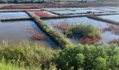 Tocht Trail Batz-sur-Mer - Tour du Croisic(20.5K 100D+) - Photo 8