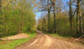 Tour Wandern Rethondes - en forêt de Laigue_1_le Grand Octogone - Photo 6