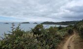 Trail Walking Paimpol - Paimpol - GR34 Port Lazo - 25.5km 400m 6h15 (45mn) - 2024 06 30 - Photo 8