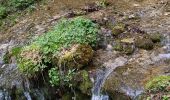 Tour Wandern Malleval-en-Vercors - malleval Bec de neurre - Photo 2