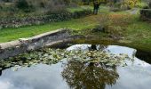 Tocht Stappen Lentillac-du-Causse - Lentillac Orniac  - Photo 1