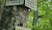 Tour Wandern Mollkirch - Rando Fischhutte - Photo 7