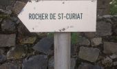 Tocht Stappen Vic-sur-Cère - Grotte des Anglais - Photo 5