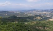 Trail Walking Piégros-la-Clastre - Piegros la clastre - Photo 5