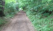 Tour Wandern Aydat - Puy de Vichatel depuis la Garandie - Photo 17