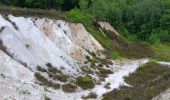 Randonnée Marche Anthisnes - La Rock . bois de Comblain . Sparmont - Photo 8