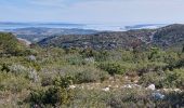Randonnée Marche Peyriac-de-Mer - Pla du Couloubret dans les Corbières  - Photo 3