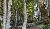 Randonnée Marche Val-d'Aigoual - PLO de VALBELLE  - Photo 6