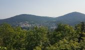 Tour Wandern Unknown - Baden Baden - rando des 