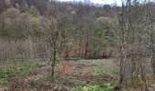 Randonnée Marche Bouillon - Les Hayons 110426 - Photo 7