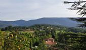 Randonnée Marche Concoules - Mont Lozère au départ de Concoules  - Photo 5