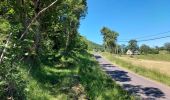 Trail Walking Menet - 20210614 Menet - Photo 12