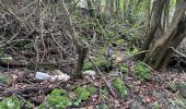 Trail Walking Le Tampon - 2023 11-12-reconnaissance de la ravine cascade  - Photo 1