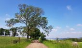 Trail Walking Liège -  Jupille-sur-Meuse - Photo 6