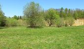 Tour Zu Fuß Eschelbronn - Rundwanderweg Eschelbronn Kallenberg 1: Hetzenloch-Weg - Photo 7