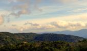 Percorso Marcia Bormes-les-Mimosas - SityTrail - 3043274 - bargeanxchartreuse-verne - Photo 11