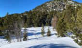 Randonnée Raquettes à neige Vaulnaveys-le-Haut - Lac Achard - Photo 6