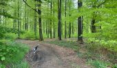 Trail Walking Libramont-Chevigny - Bras-Freux - Photo 3