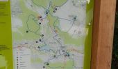 Tour Wandern Palaiseau - Les forêts de St Aubin et d'Aigrefoin - Photo 5