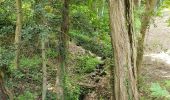 Trail Walking Valfleury - Valfleury - Découverte de ce petit Lourdes et de ses environs - Photo 1
