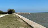 Tocht Stappen La Flotte - Île de Ré  la flotte - Photo 17