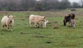 Trail Walking Labastide-en-Val - Labastide en val- Plateau Lacamp - Photo 2