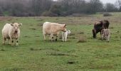 Tocht Stappen Labastide-en-Val - Labastide en val- Plateau Lacamp - Photo 2