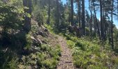 Trail Walking Saulcy-sur-Meurthe - Les roches du Kemberg - Photo 2