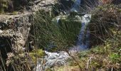 Trail Walking Saint-Romain-les-Atheux - tour du barrage de Cotatay  - Photo 3