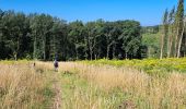 Trail Walking Nassogne - Marche ADEPS Nassogne - Photo 3