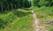Trail Walking Coulommiers-la-Tour - Les Bois d'Huchigny, des Péseries et de Villemalin - Photo 13