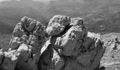 Tour Wandern Gréolières - Gréolières les Neiges - Collet de Barri- Cime du Cheiron - Croix de Verse - Combe d'Henry - Photo 9