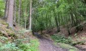 Trail Walking Theux - Hodbomont 19 km - Photo 1