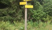 Trail Walking Revel - Montagne 15/08/2023 - Photo 1