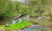 Randonnée Marche Doische - De Gochenée à Vodelée par la vallée de l'Hermeton - Photo 15