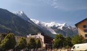 Excursión Senderismo Chamonix-Mont-Blanc - 20210809 Chamonix Les Tines - Photo 5