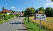 Tocht Stappen Perche en Nocé - Préaux-du-Perche Sud - Photo 19