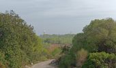 Percorso Marcia Leucate - leucate - la franqui (via le plateau) - phare (via la falaise) - leucate (via le plateau) - Photo 4