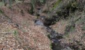 Tour Zu Fuß Siegbach - Wanderweg E15 / Schlossbergweg - Photo 9