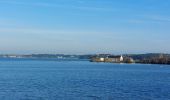 Trail Walking Belz - PR_56_Belz_DA_04_Pointe-De-Kerrio_Circuit4a_20250102 - Photo 2