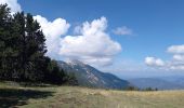 Trail Walking Beaumont-du-Ventoux - Crêtes du Ventoux  - Photo 8