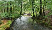 Tocht Stappen Sainte-Ode - rando lavacherie 6/10/2020 - Photo 4