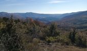 Tour Wandern La Roche-sur-le-Buis - la montagne de Banne  - Photo 13