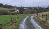 Trail Walking Bertogne - Longchamps 160126 - Photo 7