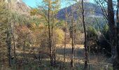 Trail Mountain bike Proveysieux - Panflay- Plaine de Girieux- Col de la charmette - Photo 8