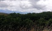 Tocht Stappen San Andrés - trek Equateur jour 1 - Photo 4