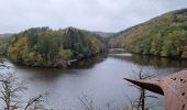 Tocht Stappen Houffalize - TOUR LAC DE NISRAMONT - Photo 5