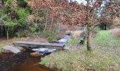 Tour Wandern Vielsalm - Bihain 191123 - Photo 3