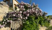 Trail Walking Le Bar-sur-Loup - Callivore2 - Photo 3