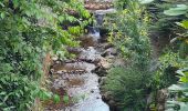 Trail Walking Sainte-Croix-aux-Mines - Le Hury par le Petit-Haut - Photo 19